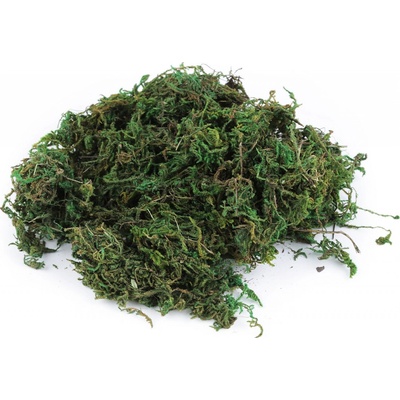 Dekorační přírodní mech 250 g - zelená