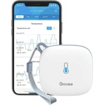 Govee H5179