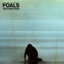 FOALS: WHAT WENT DOWN LP