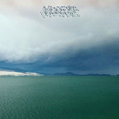 Modest Mouse - The Fruit That Ate Itself (LP) (0767981144313)