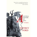 A Natural History of Hell: Stories Ford Jeffrey Paperback