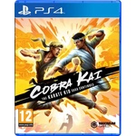 Maximum Games Cobra Kai The Karate Kid Saga Continues (PS4)
