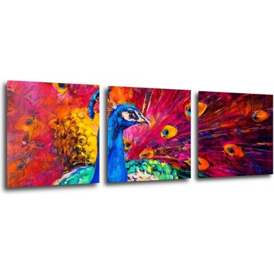Impresi Obraz Farebný páv - 90 x 30 cm (3 dielny)
