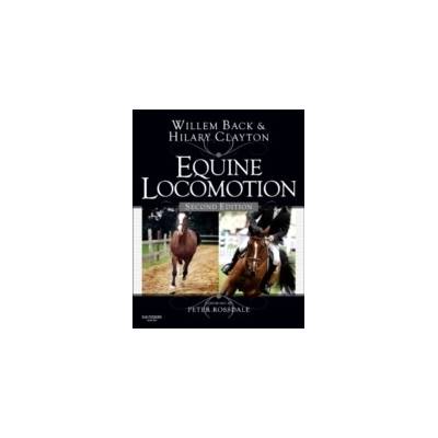 Equine Locomotion Back Willem