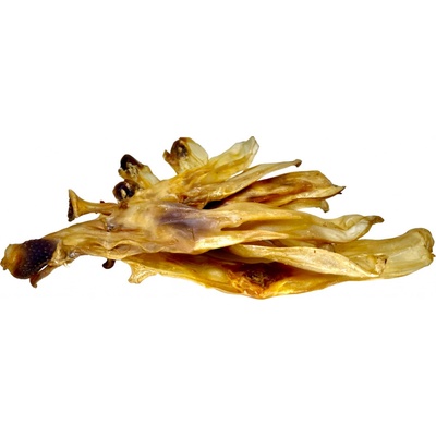 LK Baits Pet Králičí uši 7 8 ks 70 g