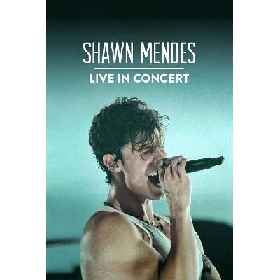 Europosters Plagát, Obraz - Shawn Mendes Live in Concert (2020), 26.7 × 40 cm