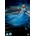 Cinderella DVD