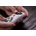 8BitDo M30 RET00368