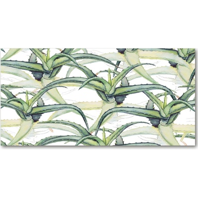 Foto obraz sklo tvrzené aloes 100x50 cm