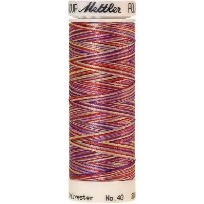 Nitě POLY SHEEN MULTI vyšívací 200m 200m art. 4820 polyester AMANN Mettler - více barev barva.: 9983 Wild Flowers