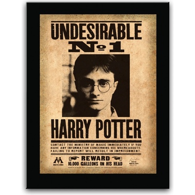 The Noble Collection Cedule na zeď Undesirable No. 1, dřevěná, Harry Potter