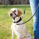 TRIXIE Training harness Top Trainer M