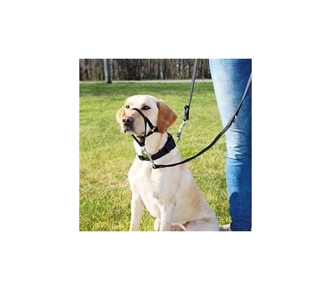 TRIXIE Training harness Top Trainer M