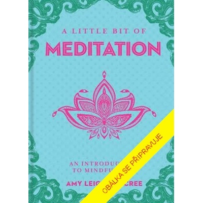 MEDITACE a jak jí rozumět - Úvod do bdělosti - Amy Leigh Mercree
