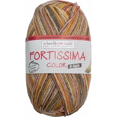 Schoeller Stahl Fortissima color 8-fach 0808