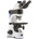 Optika B-380 500×