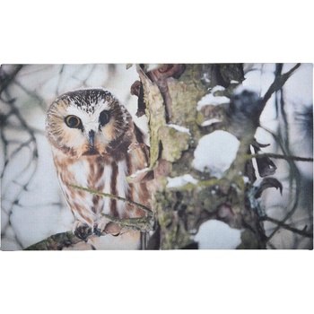 Esshert Design Best For Boots Podložka pod litinovou rohožku Výr Vykuk bílá 76 x 45 cm