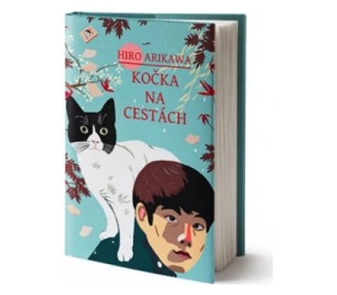 Kočka na cestách