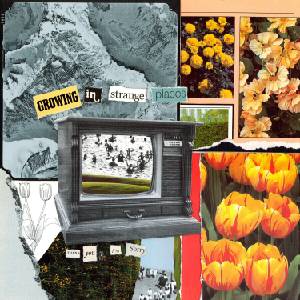 Thank You, I'm Sorry - Growing in Strange Places (Limited Edition) (Orange Crush Coloured) (LP) (0756014231496)