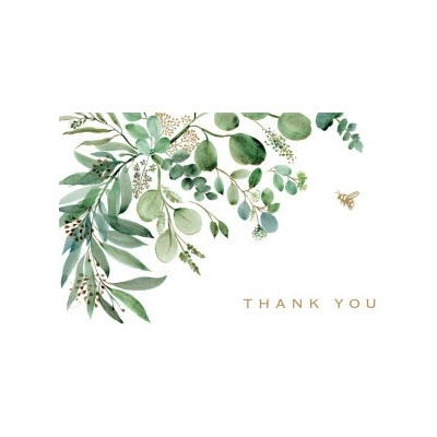Eucalyptus Thank You Note Cards