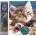 Norimpex - Puzzle Diamond Painting Kitten with a ball 30x40cm - 1 - 39 piese