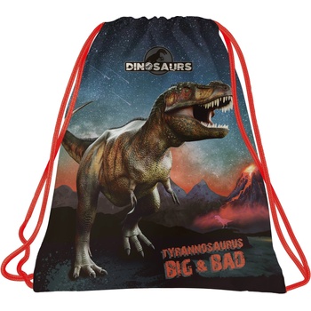 Image 1 of DERFORM - Спортна торба Dinosaur 17 87358