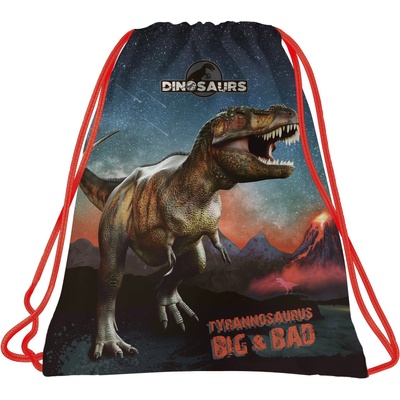 DERFORM - Спортна торба Dinosaur 17 87358