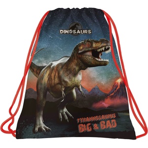 DERFORM - Спортна торба Dinosaur 17 87358