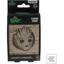 Groot v boxe
