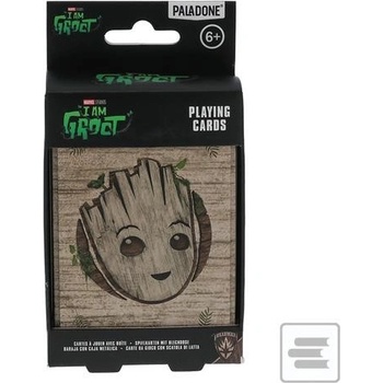 Groot v boxe
