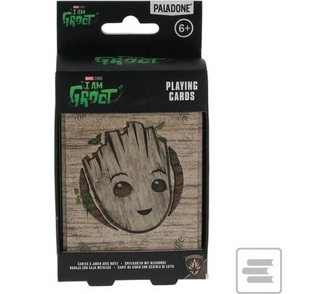 Groot v boxe