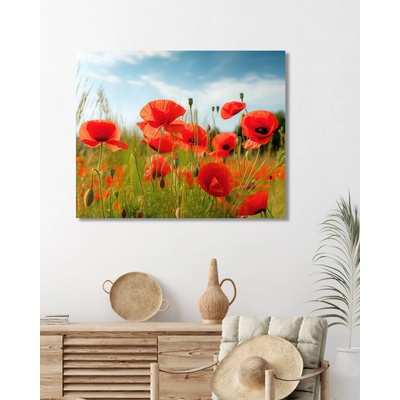 ZUTY Obrazy na stenu - Vlčie maky na lúke Rámovanie: bez rámu a bez vypnutia plátna, Rozmer: 40x50 cm