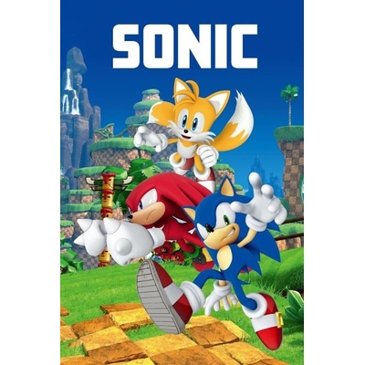 JERRY FABRICS Fleece deka Sonic city