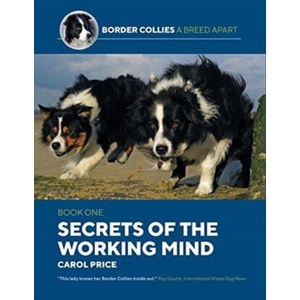 Secrets Of The Working Mind (ISBN: 9781910488461)