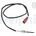 DELPHI TS30316-12B1
