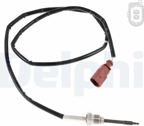 DELPHI TS30316-12B1