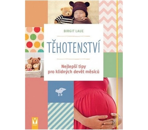 Těhotenství