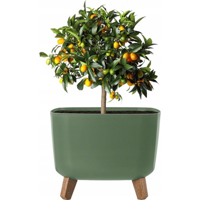 Prosperplast GRACIA SQUARE Květináč 29 cm zemitě zelený