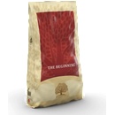 Essential Foods Beginning Large Breed 10 kg