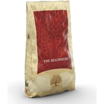 Essential Foods Beginning Large Breed 10 kg