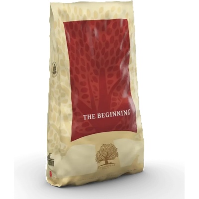 Essential Foods Beginning Large Breed 10 kg