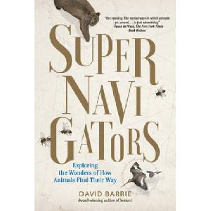 Supernavigators | David Barrie (2019)