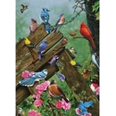 Cobble Hill Birds of the Forest 1000 dielov