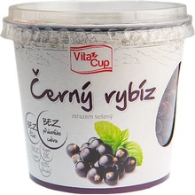 VitaCup Černý rybíz lyofilizovaný 45 g