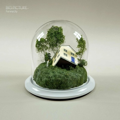 Big Picture - Fenne Lily LP