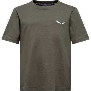 Salewa Детска тениска Salewa Kid's Graphic T-Shirt - Faded Green - размер 104 (EU) (704-5543-0212)
