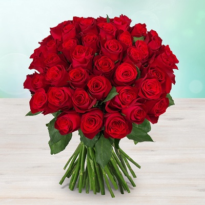 Rozvoz květin: Luxusní rudé růže - 70cm (XL) - cena za 1ks - Benešov