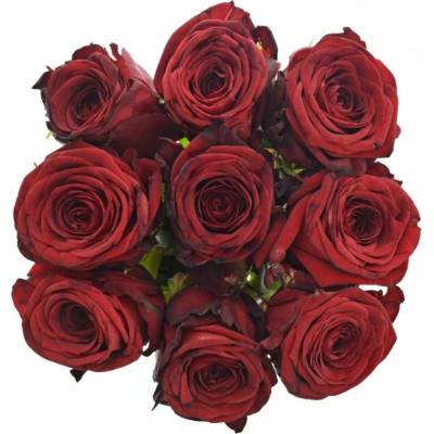 Kytice 9 rudých růží RED NAOMI! 50cm