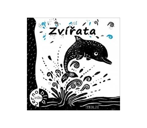 Zvířata