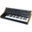 Moog Subsequent 37